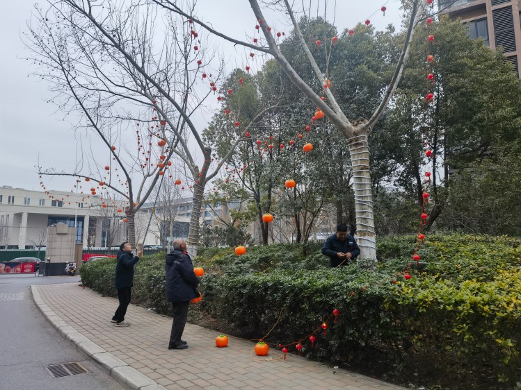 微信图片_20260206160402_4585_16.jpg 微信图片_20260206160402_4585_16.jpg