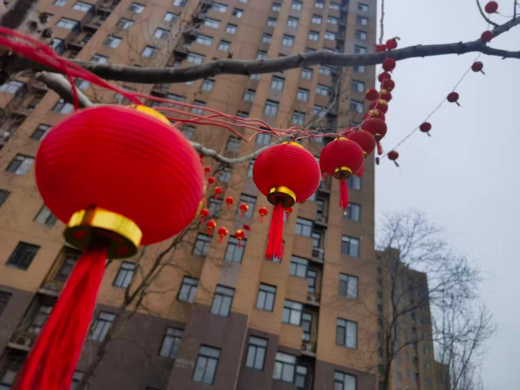 微信图片_20260206161023_4589_16.jpg 微信图片_20260206161023_4589_16.jpg