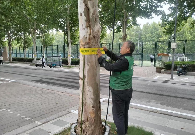 图片2.jpg 图片2.jpg