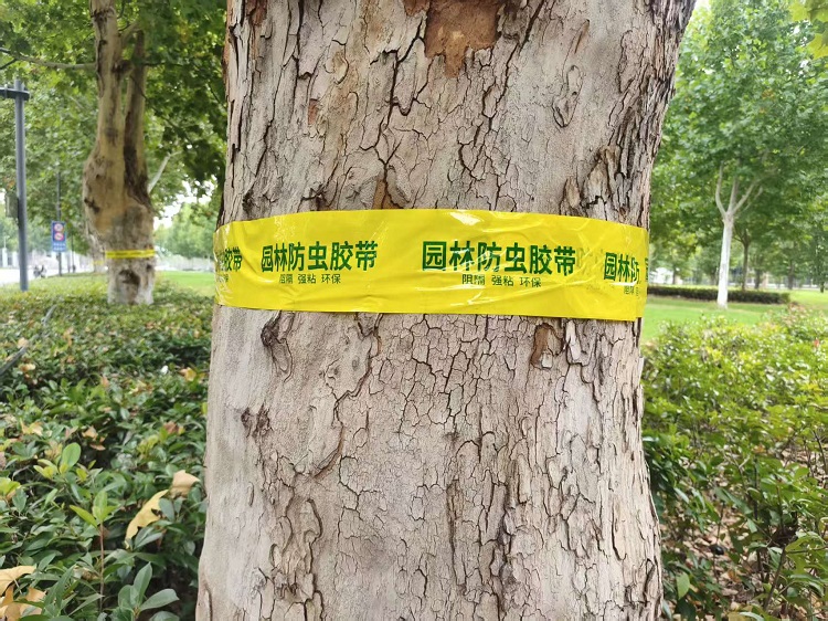 图片3.jpg 图片3.jpg